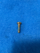 Load image into Gallery viewer, #16 928 Door Check Bracket Screw
