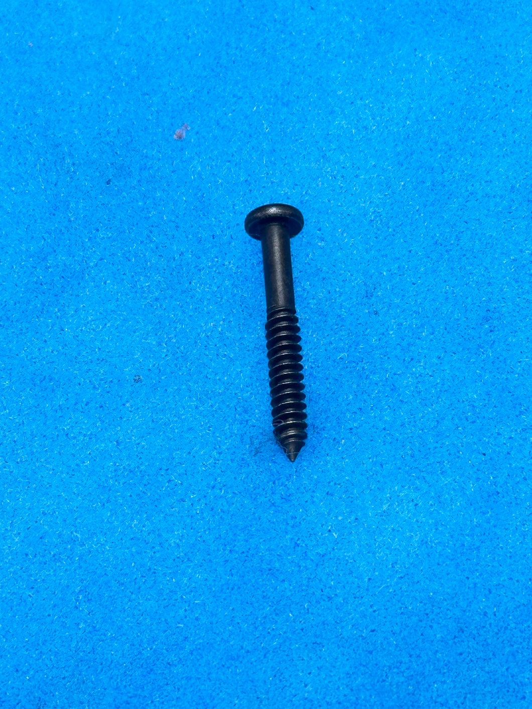 #2A 928 Tail Light Lens Screws