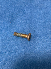 Load image into Gallery viewer, #16 928 Door Check Bracket Screw
